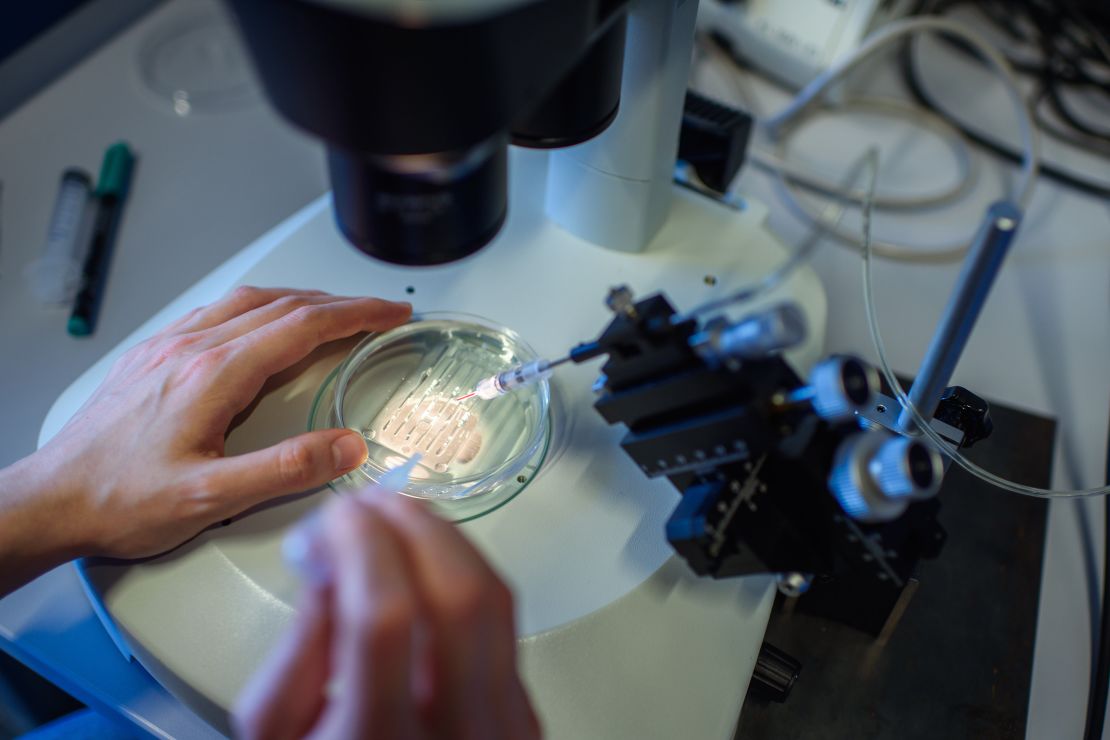 While Casgevy uses CRISPR to edit DNA in a patient’s blood stem cells, Lyfgenia uses components from a virus to deliver a new gene to a patient’s blood stem cells that produces healthy hemoglobin.