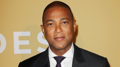 Don Lemon s Ups and Downs 183